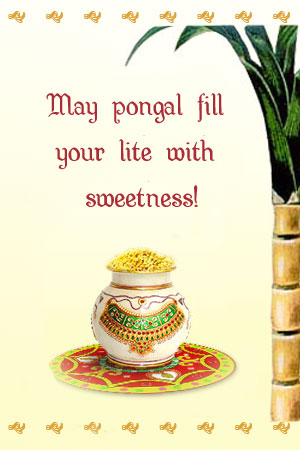 Pongal